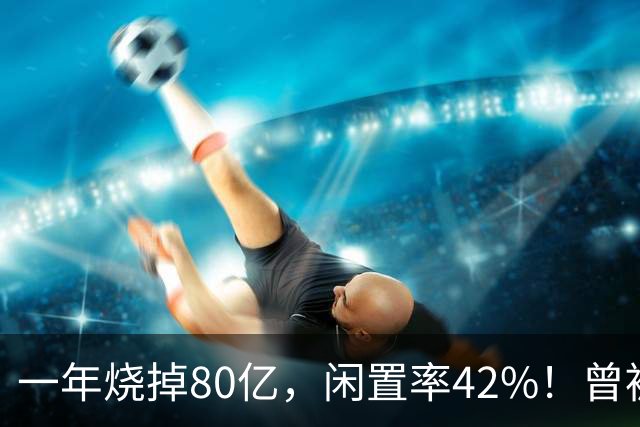一年烧掉80亿，闲置率42%！曾被捧成香饽饽的生意，怎么不香了？