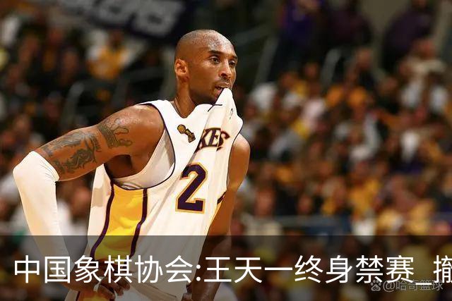 中国象棋协会:王天一终身禁赛 撤销特大等称号
