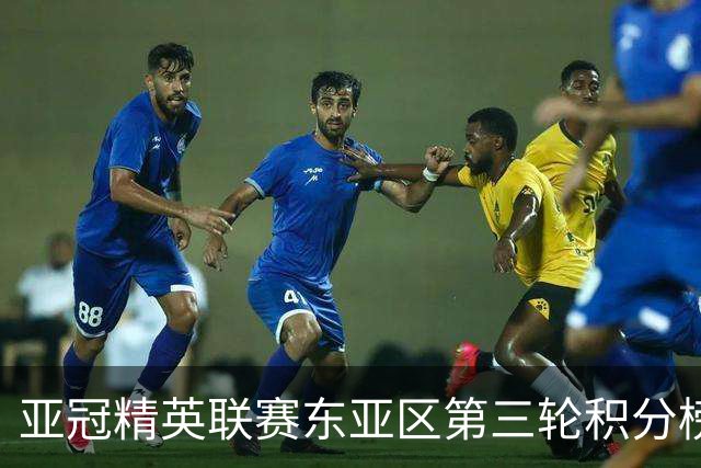 亚冠精英联赛东亚区第三轮积分榜：国安不败位列第五，海港第八