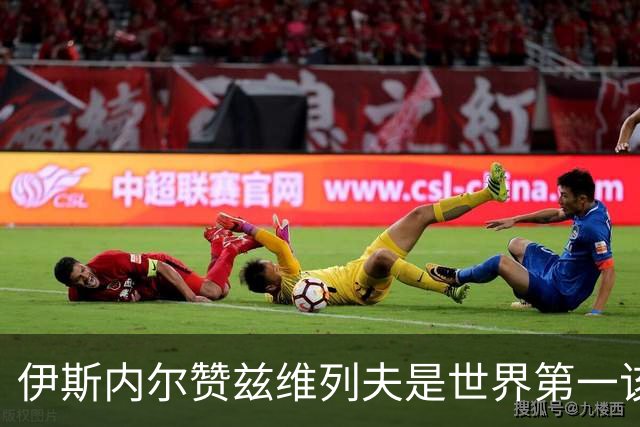 伊斯内尔赞兹维列夫是世界第一该有的样子，世界最好接发球员之一