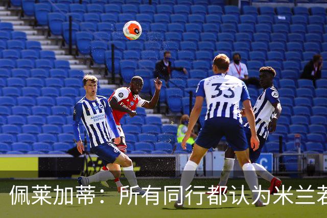佩莱加蒂：所有同行都认为米兰若维持现有的阵容将会举步维艰