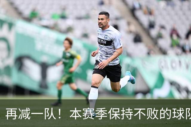 再减一队！本赛季保持不败的球队仅剩3支：火箭、灰熊、开拓者