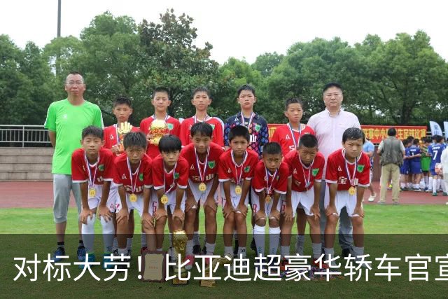 对标大劳！比亚迪超豪华轿车官宣