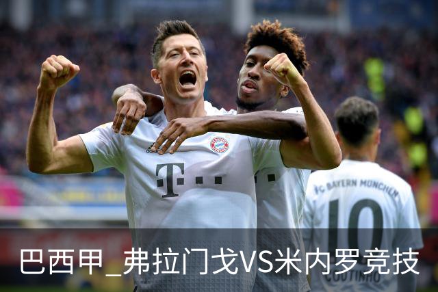 巴西甲 弗拉门戈VS米内罗竞技