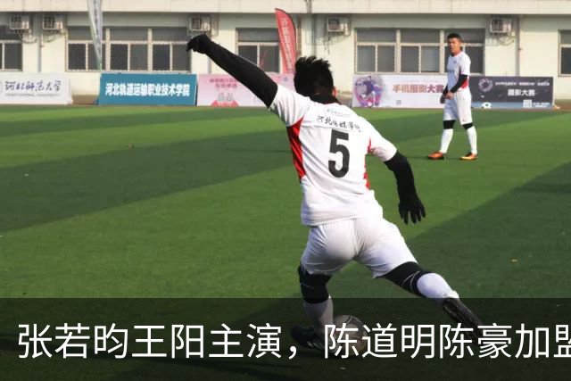 张若昀王阳主演，陈道明陈豪加盟，国产谍战剧终于迎来高潮