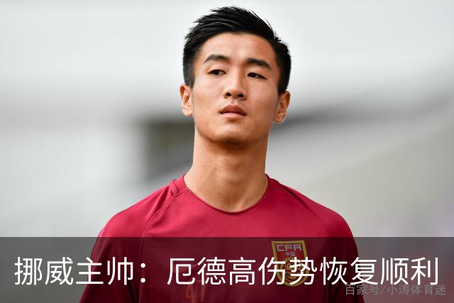 挪威主帅：厄德高伤势恢复顺利
