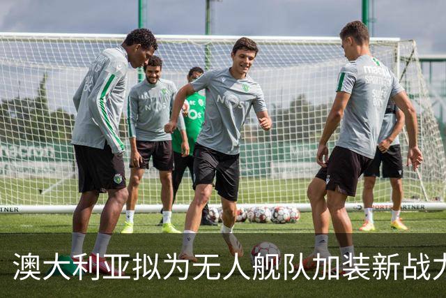 澳大利亚拟为无人舰队加装新战力