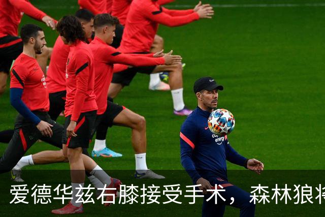 爱德华兹右膝接受手术，森林狼将一次性解决膝伤，预计休战2个月