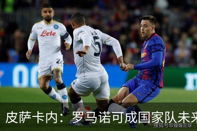 皮萨卡内：罗马诺可成国家队未来