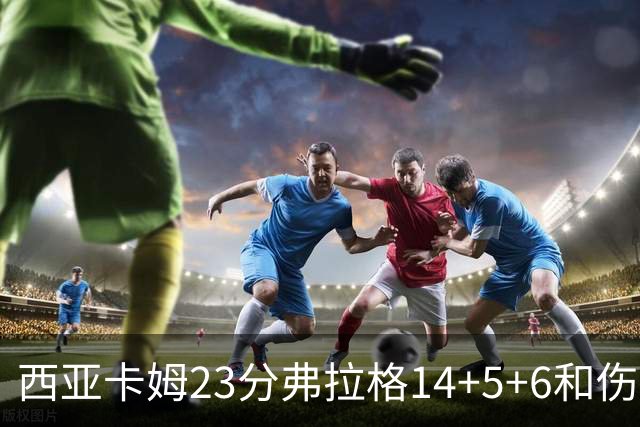 西亚卡姆23分弗拉格14+5+6&伤退 独行侠轻取步行者