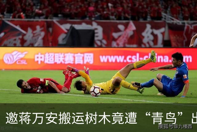 邀蒋万安搬运树木竟遭“青鸟”出征，清洁队长：我好内疚、很难过