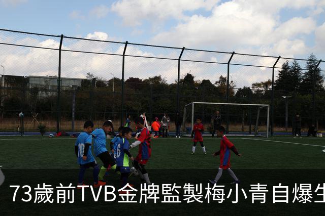 73歲前TVB金牌監製梅小青自爆生蛇 曾患膀胱癌險中風切除子宮