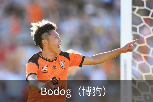 关于Bodog（博狗）