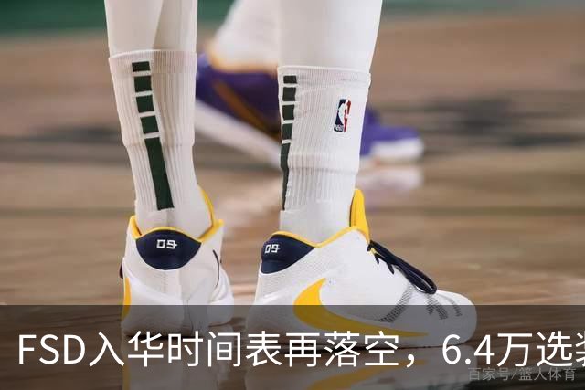 FSD入华时间表再落空，6.4万选装率仅1.5%
